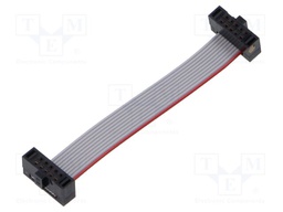 Ribbon cable with IDC connectors; Tape ph: 0.64mm; 50.8mm