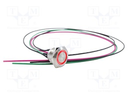 Switch: vandal resistant; Pos: 2; SPST-NO; 2A/36VDC; IP67; OFF-(ON)