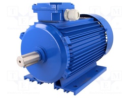 Motor: AC; 2200W; 230/400VAC; 1380rpm; continuous operation S1