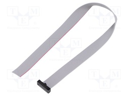 Ribbon cable with IDC connectors; Tape ph: 0.64mm; 254mm