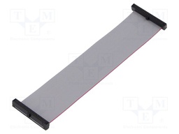 Ribbon cable with IDC connectors; Tape ph: 0.64mm; 121.92mm