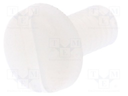 Screw; M4x8; 0.7; Head: cheese head; slotted; 1,3mm; polyamide