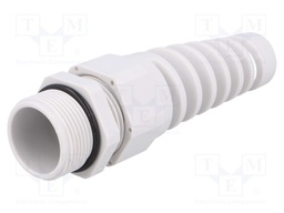 Cable gland; with strain relief; PG21; IP68; Mat: polyamide; grey