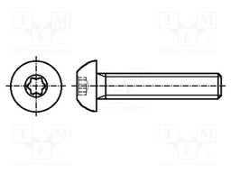 Screw; M6x6; 1; Head: button; Torx®; TX30; steel; zinc; ISO: 7380