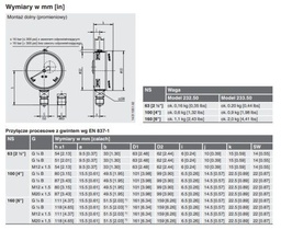 Manometer; 0÷400bar; Class: 1; 100mm; -20÷60°C; IP65; 233.50