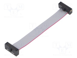 Ribbon cable with IDC connectors; Tape ph: 0.64mm; 63.5mm