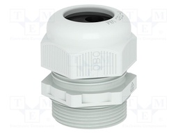 Cable gland; M25