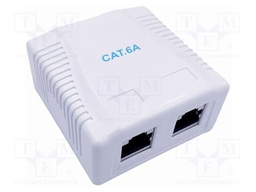 Wall socket; white; Cat: 6a; RJ45 socket x2; wall mount; 8p8c