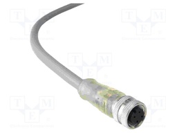 PXPPNP12FBF04ACL050PVC