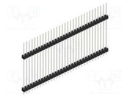 Connector: pin strips; pin header; male; PIN: 31; 2.54mm; THT; 1x31