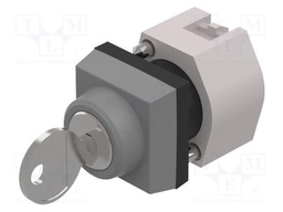 Switch: rotary with key; 22mm; Stabl.pos: 2; silver; none; IP65