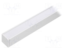 Profiles for LED modules; white; surface; natural; L: 2m; anodized