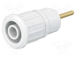 24A; insulated; Urated: 1kV; white; Plating: gold-plated; L: 35.5mm