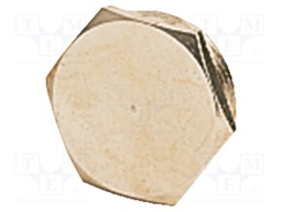 Protection cap; PG21; IP68; Mat: metal