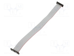 Ribbon cable with IDC connectors; Tape ph: 0.64mm; 254mm