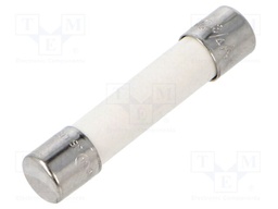 Fuse: fuse; quick blow; 750mA; 250VAC; 125VDC; ceramic,cylindrical