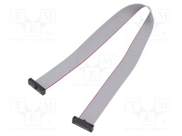 Ribbon cable with IDC connectors; Tape ph: 0.64mm; 254mm