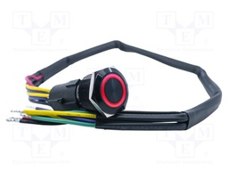 ANTI VANDAL SWITCH, DPDT, 3A/250VAC/PANL