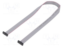 Ribbon cable with IDC connectors; Tape ph: 0.64mm; 355.6mm