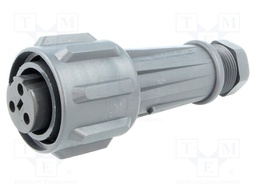 Connector: circular; plug; female; PIN: 3; EXPlora; Contacts: brass