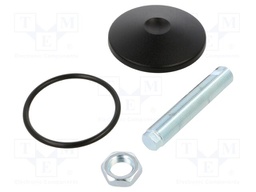 Foot of pin; rigid,with O-ring; Base dia: 100mm; M20x1,5; steel