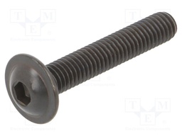 Screw; with flange; M6x35; 1; Head: button; hex key; HEX 4mm; steel