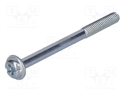 Screw