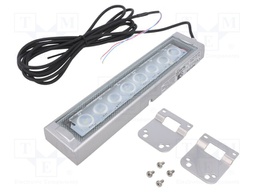 LED lamp; cool white; 800lm; 6500K; -10÷50°C; 24VDC; IP66; 3m