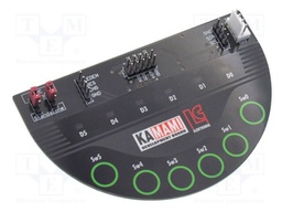 Module with 6-button touchpad keyboard; pin header