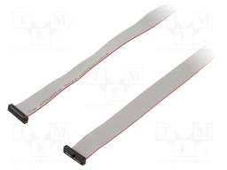 Ribbon cable with IDC connectors; Tape ph: 0.64mm; 1016mm