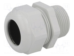 Cable gland; NPT1"; IP68; Mat: polyamide; light grey; UL94V-0