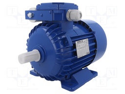 Motor: AC; 1-phase; 0.75kW; 230VAC; 2800rpm; 9.7kg; IP54; -15÷40°C