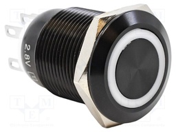Switch: vandal resistant; Pos: 2; SPST NC + NO; 2A/24VDC; IP65