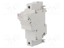 Fuse disconnector; 22x58mm; Mounting: for DIN rail mounting