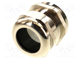 Accessories: gland