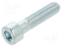 Screw; M10x45; 1.5; Head: cheese head; hex key; HEX 8mm; steel; zinc
