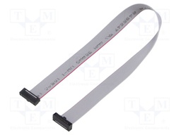 Ribbon cable with IDC connectors; Tape ph: 0.64mm; 254mm