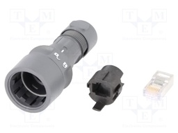 Connector: RJ45; plug; shielded; push-pull; Buccaneer 6000; IDC