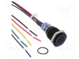 Switch: vandal resistant; Pos: 2; SPDT; 2A/48VDC; IP67; ON-(ON)