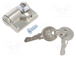 Insert for lock; Kit: 2 keys