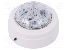 Signaller: lighting; flashing light; amber; Series: Solista Maxi