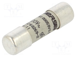 Fuse: fuse; gG,time-lag; 500mA; 500VAC; 250VDC; 10x38mm