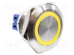 Switch: vandal resistant; SPST-NO + SPST-NC; 2A/48VDC; IP65; 6V