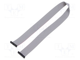 Ribbon cable with IDC connectors; Tape ph: 0.64mm; 508mm