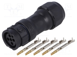 Connector: circular; female; plug; crimped; PIN: 5; 18AWG÷16AWG