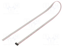 Ribbon cable with IDC connectors; Tape ph: 0.64mm; 508mm