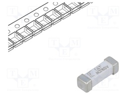 Fuse: fuse; time-lag; 1A; 280VAC; SMD; ceramic; 10,1x3,1x3,25mm