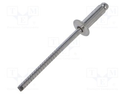 Rivet; A2 stainless steel; Rivet diam: 3.2mm; L.rivet: 10mm