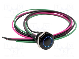 Switch: vandal resistant; Pos: 2; SPST-NO; 2A/36VDC; IP67; OFF-(ON)