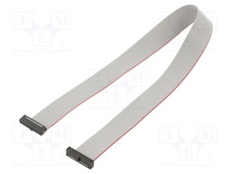 Ribbon cable with IDC connectors; Tape ph: 0.64mm; 304.8mm